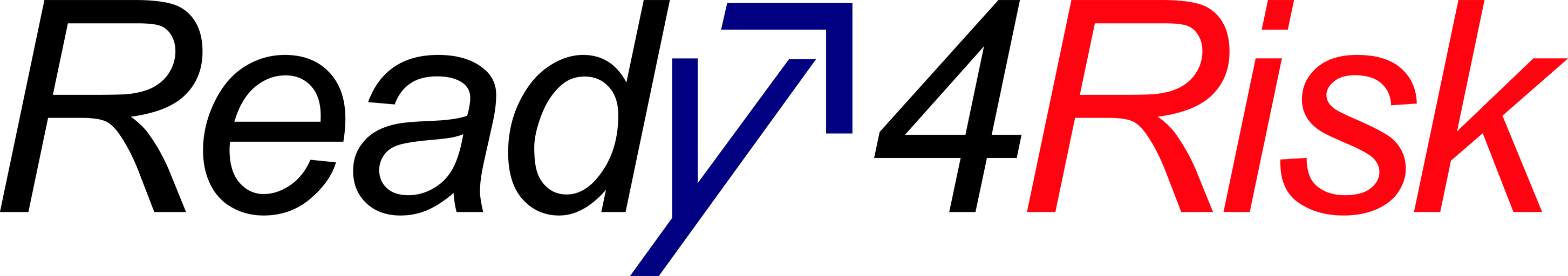 Ready4Risk v2.13 Schriftzug 512